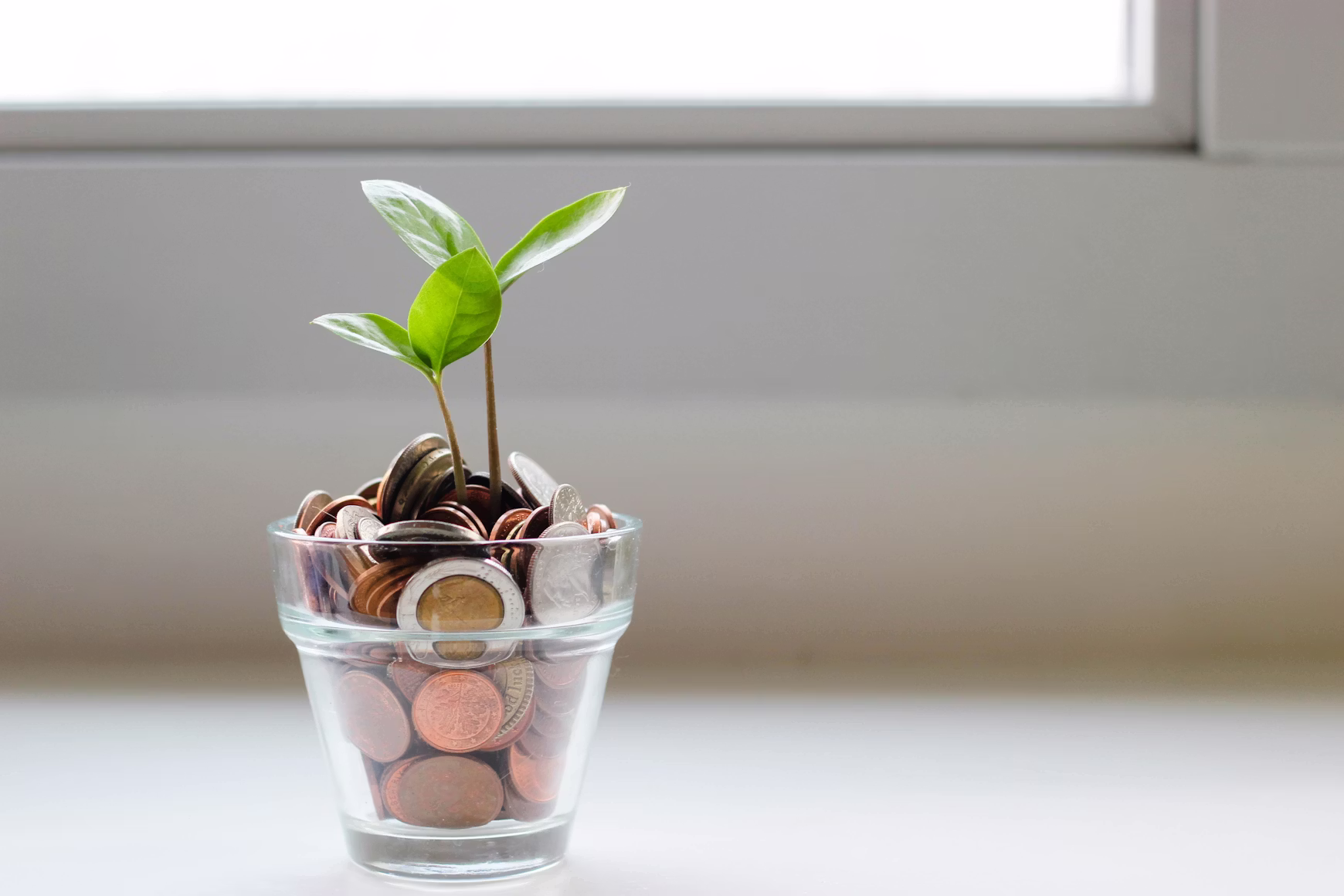 Impact Investors